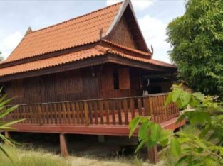 Thai style wooden house with garden in Surin city.