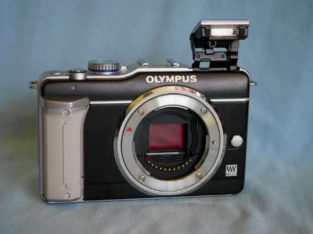 Olympus E-PL1 and E-PL5 Mirrorless Digital Cameras