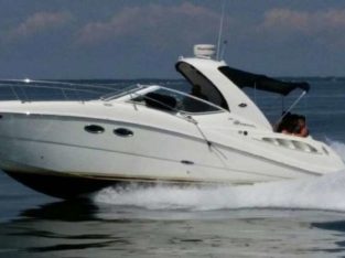 Sea Ray Sundancer 290