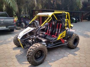 Off road buggies for sale