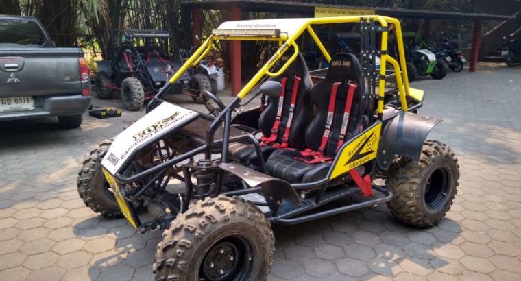 Off road buggies for sale