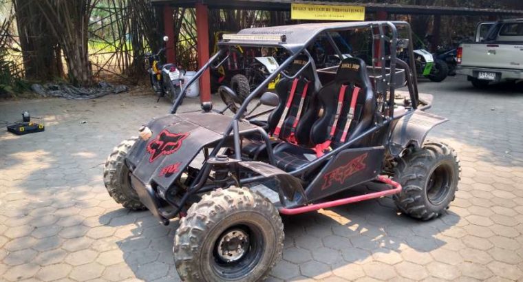 Off road buggies for sale