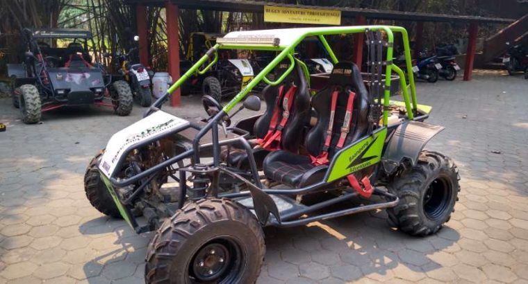 Off road buggies for sale