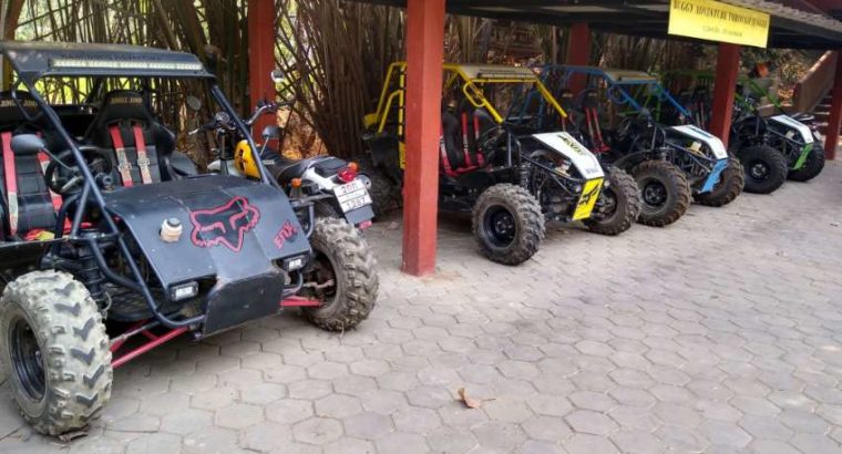 Off road buggies for sale