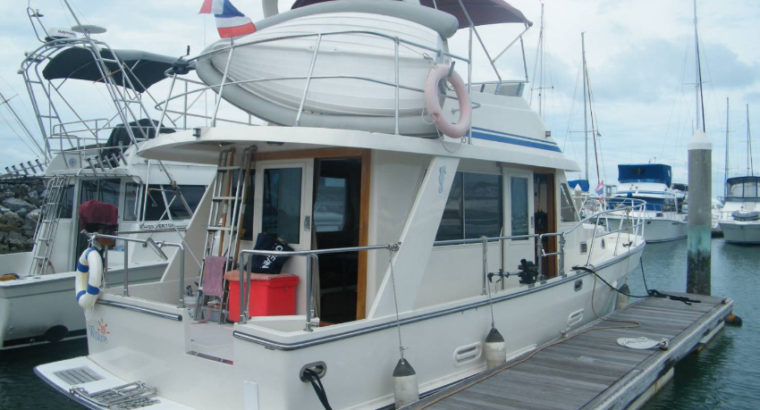 2007 Seahorse Trawler – wife says sell now!