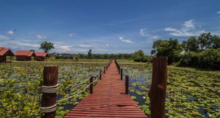 Resort and lotus farm