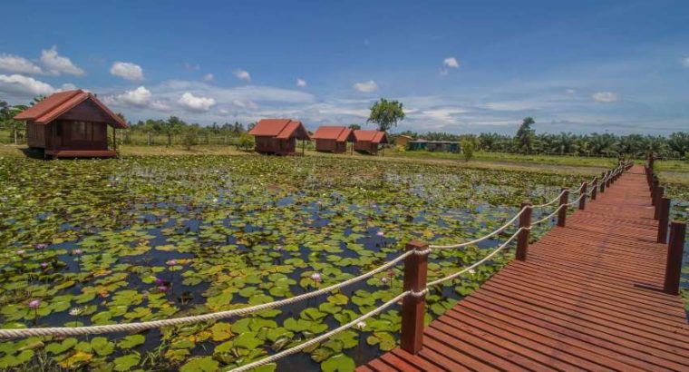 Resort and lotus farm