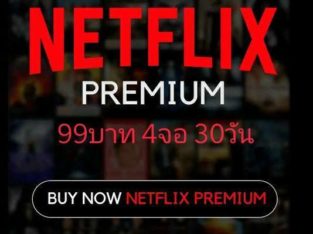 Netflix Premium 4k 4 Screen 30 Day Account – Priva