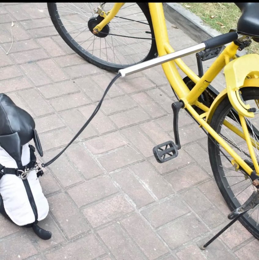 Dog Leash Bicycle Lead Attachment