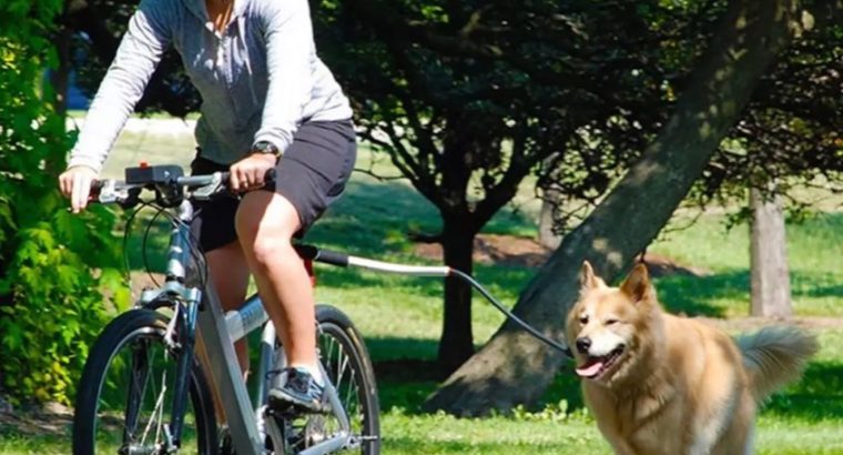 Dog Leash Bicycle Lead Attachment