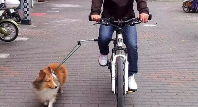 Dog Leash Bicycle Lead Attachment