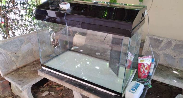 Aquarium Fish Tank