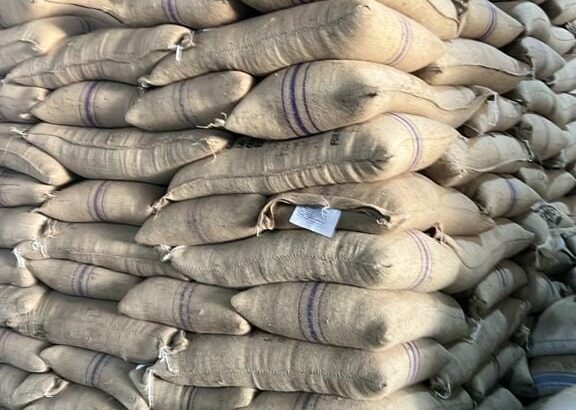 top-quality Ugandan robusta +27719755564
