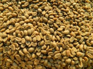 top-quality Ugandan robusta +27719755564