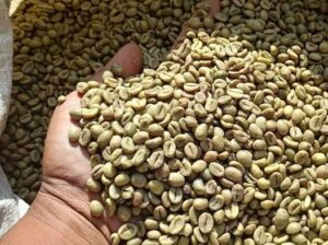 Green Coffee beans (Arabica Coffee) +27719755564