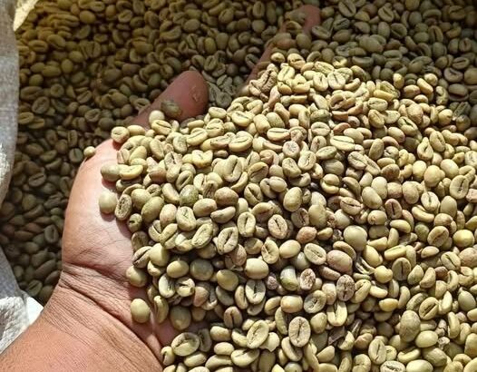 Green Coffee beans (Arabica Coffee) +27719755564