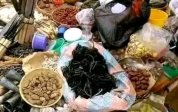 The Best Powerful SpirItual Herbalist IN Nigeria