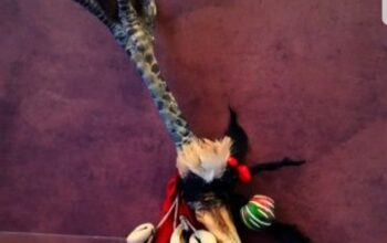 Connecticut, Love spells Casters:(+27799-215-634)