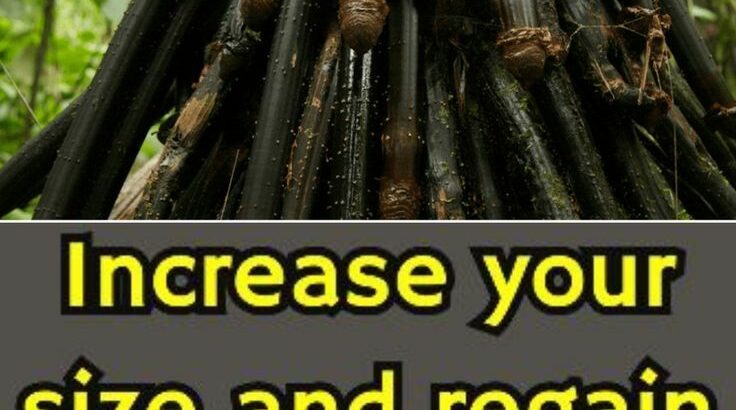 Premature Ejaculation And Weak Erection Products I