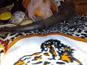 Traditional Medicine ( Herbalist Healer) Sangoma