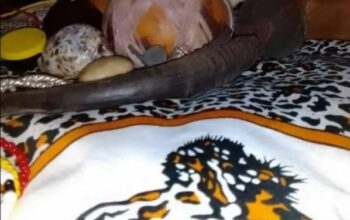 Traditional Medicine ( Herbalist Healer) Sangoma
