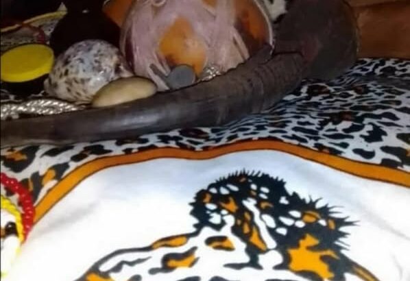 Traditional Medicine ( Herbalist Healer) Sangoma