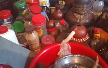 Traditional Healers Sangoma For All – Witch Doctor